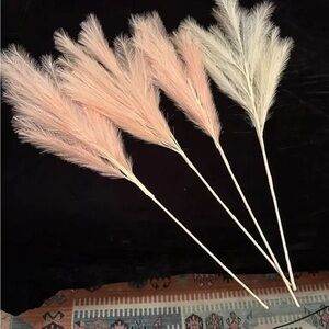 Elegant Pink and White Pampas Grass Stems